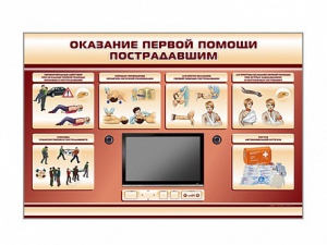 Многофункциональный интерактивный стенд-тренажер "Оказание первой помощи пострадавшим" для учащихся общеобразовательных учреждений - fgospostavki.ru - Тольятти