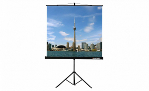 Проекционный экран на штативе Lumien Eco View (LEV-100105) 160x160 см - fgospostavki.ru - Тольятти