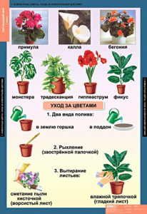 Комплект таблиц. Окружающий мир 1 класс. - fgospostavki.ru - Тольятти