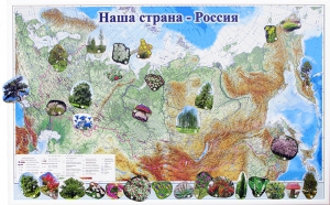 Магнитные карточки "Растения" - fgospostavki.ru - Тольятти