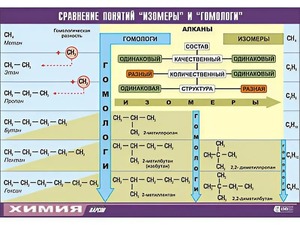 Таблица демонстрационная "Сравнение понятий изомер и гомолог" (винил 70x100) - fgospostavki.ru - Тольятти