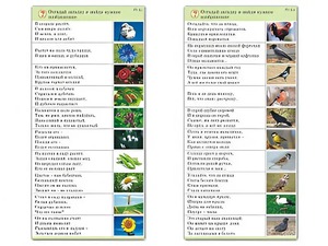 Комплект карточек (10) "Обучающий калейдоскоп. Природа" - fgospostavki.ru - Тольятти