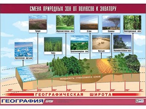 Таблица демонстрационная "Смена природных зон от полюсов к экватору" (винил 100*140) - fgospostavki.ru - Тольятти