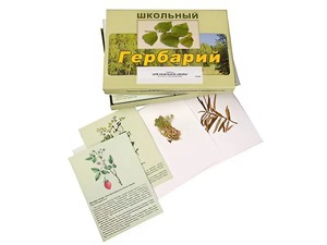 Гербарий "Для начальной школы" (30 видов, с иллюстрациями) - fgospostavki.ru - Тольятти