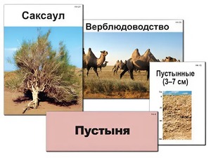 Модель-аппликация "Природные зоны России" (ламинированная) - fgospostavki.ru - Тольятти