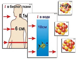 Модель-аппликация "Явление радиоактивности" (ламинированная) - fgospostavki.ru - Тольятти