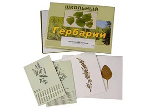 Гербарий "Лекарственные растения" (22 вида с иллюстрациями) - fgospostavki.ru - Тольятти