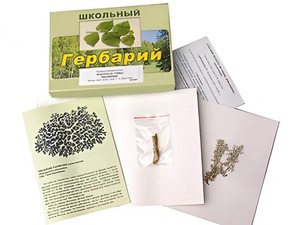 Гербарий "Водоросли. Грибы. Лишайники" (раздаточный) - fgospostavki.ru - Тольятти