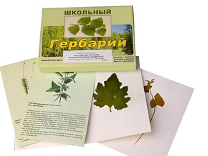 Гербарий "Систематика растений. Высшие споровые и семенные" (раздаточный) - fgospostavki.ru - Тольятти