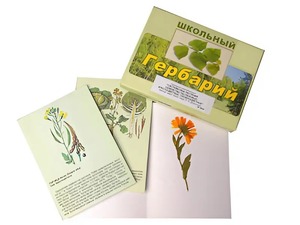 Гербарий "Систематика растений. Семейство Пасленовые. Крестоцветные. Сложноцветные" (раздаточный) - fgospostavki.ru - Тольятти
