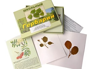 Гербарий "Систематика растений. Семейство Розоцветные" (раздаточный) - fgospostavki.ru - Тольятти