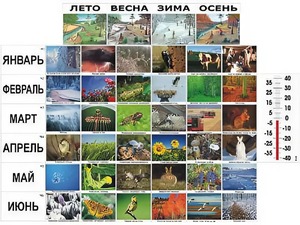 Фенологические наблюдения - fgospostavki.ru - Тольятти