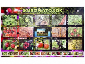 Комплект оборудования "Живой уголок" (растения) с тифлопереводом и сурдокомментариями - fgospostavki.ru - Тольятти