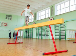 Бревно гимнастическое напольное постоянной высоты (700 мм) (5 м) - fgospostavki.ru - Тольятти