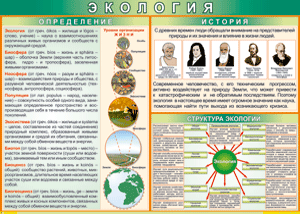 Таблица "Экология. Определения и история" (100х140 сантиметров, винил) - fgospostavki.ru - Тольятти