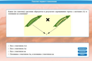 Интерактивные курсы. Биология 11 класс. Базовый. - fgospostavki.ru - Тольятти