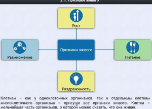 Интерактивные курсы. Биология 5 класс. Базовый - fgospostavki.ru - Тольятти