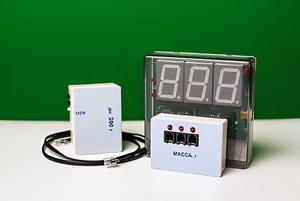 Датчик массы 200 г с независимой индикацией (весы с USB-переходником) - fgospostavki.ru - Тольятти