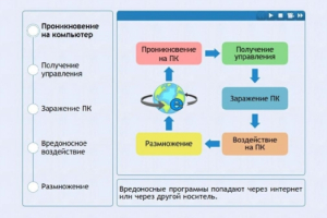 Интерактивные курсы. Информатика 10 класс . Базовый. - fgospostavki.ru - Тольятти