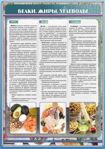 Стенд "Белки. Жиры. Углеводы" - fgospostavki.ru - Тольятти