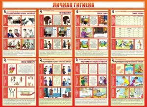Стенд "Личная гигиена" - fgospostavki.ru - Тольятти
