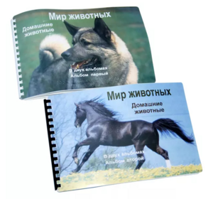 Пособие для слабовидящих - Домашние животные - fgospostavki.ru - Тольятти
