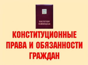 Комплект плакатов "Конституционные права и обязанности граждан" - fgospostavki.ru - Тольятти