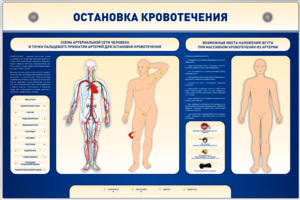 Электрифицированный стенд-тренажер "Остановка кровотечения" - fgospostavki.ru - Тольятти