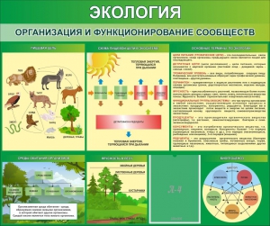 Стенд "Экология. Организация и функционирование сообществ" - fgospostavki.ru - Тольятти