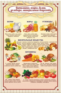 Стенд "Витамины, жиры, белки" - fgospostavki.ru - Тольятти
