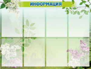 Стенд "Информация" Вариант 13 - fgospostavki.ru - Тольятти