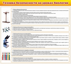 Стенд "Техника безопасности на уроках биологии" Вариант 2 - fgospostavki.ru - Тольятти