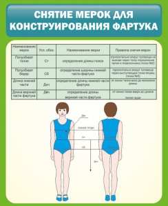 Стенд "Снятие мерок для конструирования фартука" - fgospostavki.ru - Тольятти