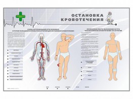 Электрифицированный стенд "Остановка кровотечения" - fgospostavki.ru - Тольятти