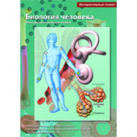 Интерактивные плакаты. Биология человека. Программно-методический комплекс - fgospostavki.ru - Тольятти
