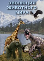 DVD "Эволюция животного мира" - fgospostavki.ru - Тольятти