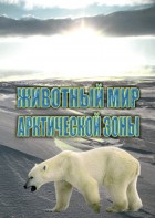 DVD "Животный мир Арктической зоны" - fgospostavki.ru - Тольятти