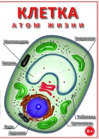 DVD "Клетка - "атом жизни" - fgospostavki.ru - Тольятти