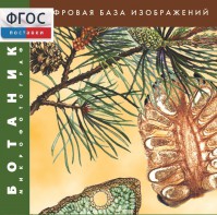 Ботаника. Микрофотографии. (Цифровая база изображений) - fgospostavki.ru - Тольятти