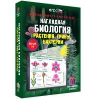 Наглядная биология. 6 класс. Растения. Грибы. Бактерии - fgospostavki.ru - Тольятти