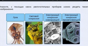 Интерактивные курсы. Биология 5 класс. Расширенный - fgospostavki.ru - Тольятти