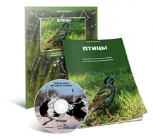 Электронное наглядное пособие «Птицы» - fgospostavki.ru - Тольятти