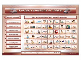 Трехсекционный базовый комплект "Травмы. Кровотечения. Ожоги" для учащихся общеобразовательных учреждений - fgospostavki.ru - Тольятти