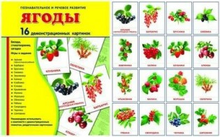 Демонстрационные карточки "Ягоды" - fgospostavki.ru - Тольятти