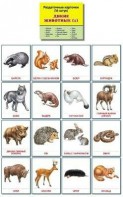 Раздаточные карточки "Дикие животные (1)" - fgospostavki.ru - Тольятти