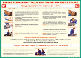 Таблица "Порядок действий при внезапной смерти" (100х140 сантиметров, винил) - fgospostavki.ru - Тольятти