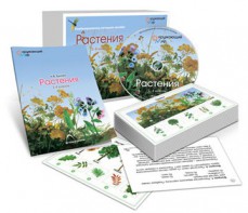 Комбинированное наглядное пособие «Растения» - fgospostavki.ru - Тольятти