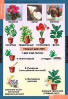 Комплект таблиц. Окружающий мир 1 класс. - fgospostavki.ru - Тольятти