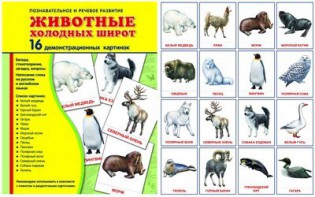 Демонстрационные карточки "Животные холодных широт" - fgospostavki.ru - Тольятти