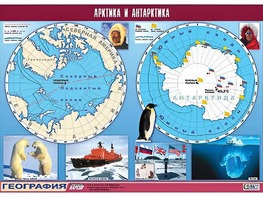 Таблица демонстрационная "Арктика и Антарктика" (винил 100*140) - fgospostavki.ru - Тольятти